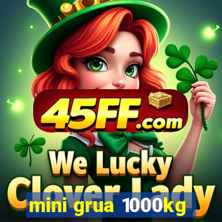 mini grua 1000kg